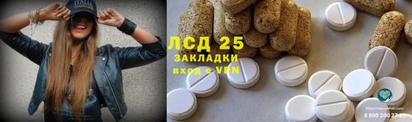 кокс Аркадак